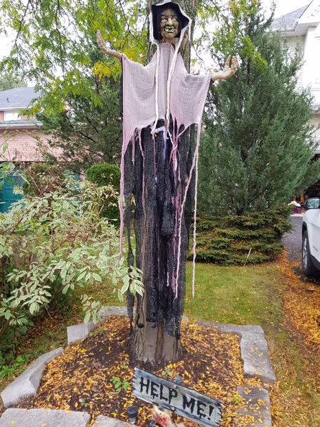 46f788_4777036b42df4bf58f8bc711537c3e36~mv2