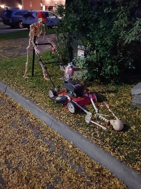 46f788_60ce5a9c51b847688a1643ea69a366ab~mv2